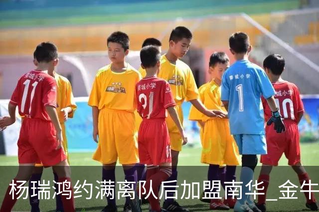 杨瑞鸿约满离队后加盟南华 金牛会继续为他加油